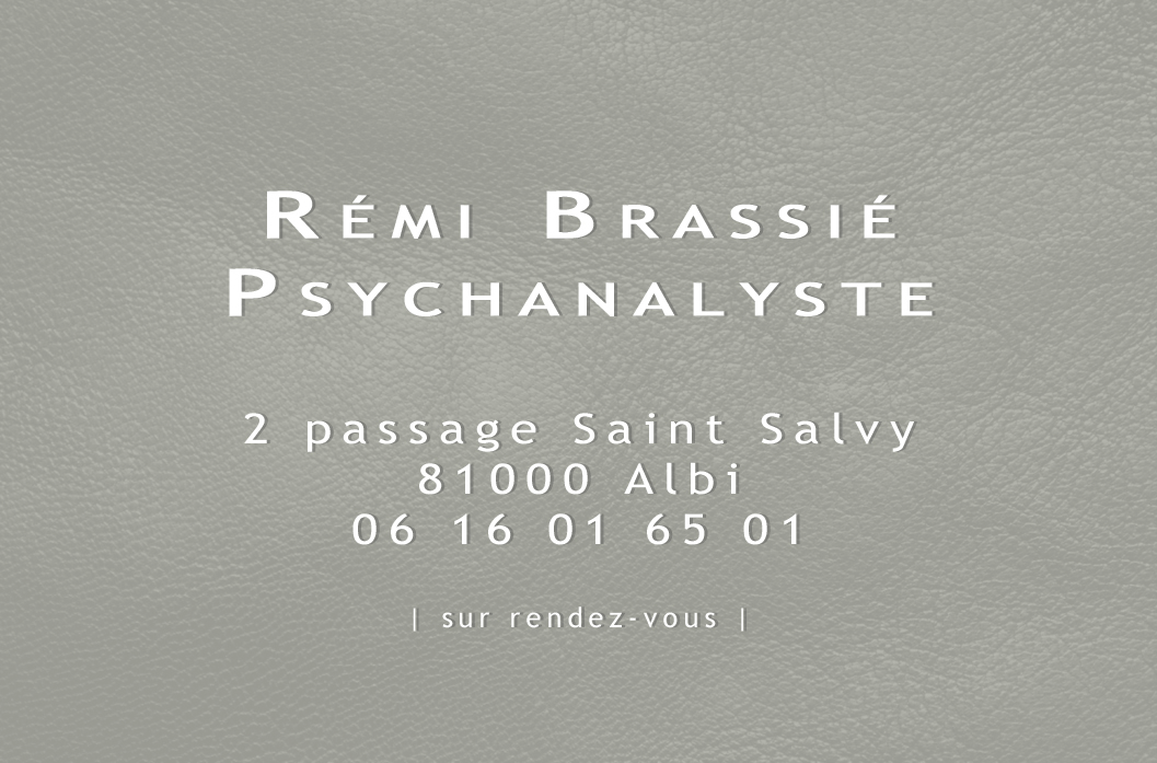 Rémi Brassié - Psychanalyse